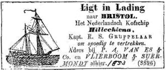 hillechiena-gruppelaar